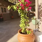 Serenity House Spiatza