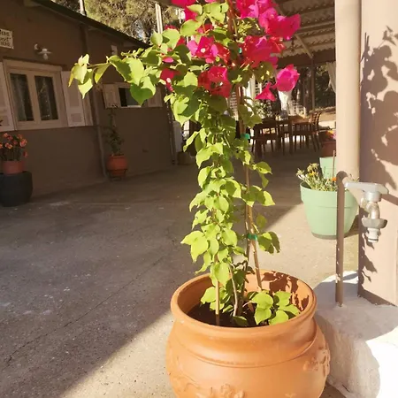 Serenity House Spiatza