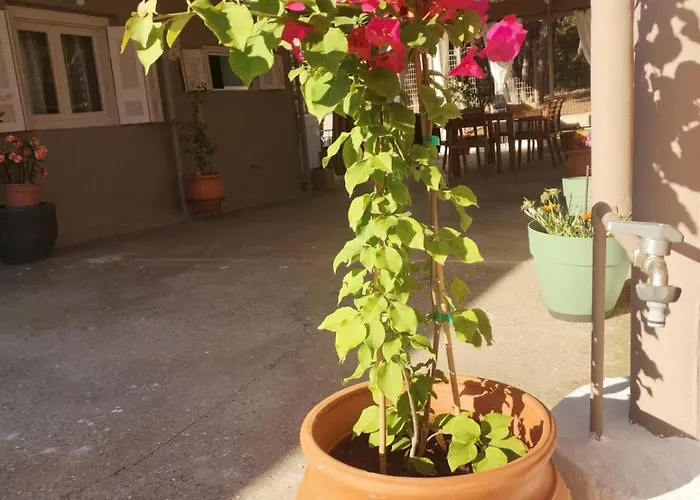 Serenity House Spiatza